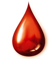 akcja-honorowego-krwiodawstwa-luty-2024